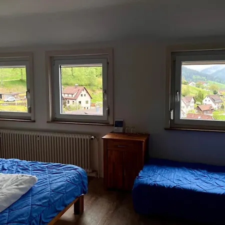 Pension Talblick Baiersbronn Exterior photo