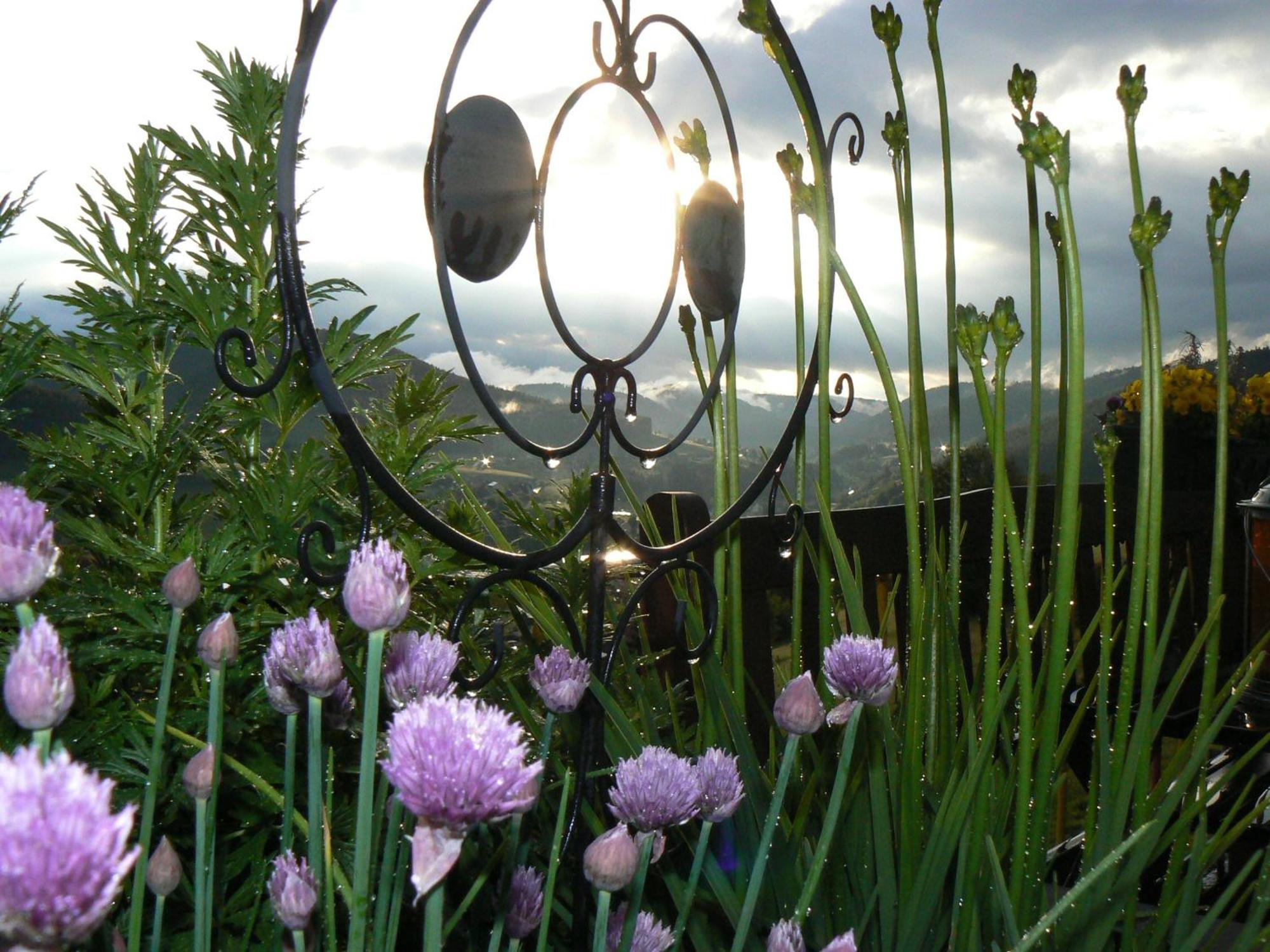 Affittacamere Talblick 3*