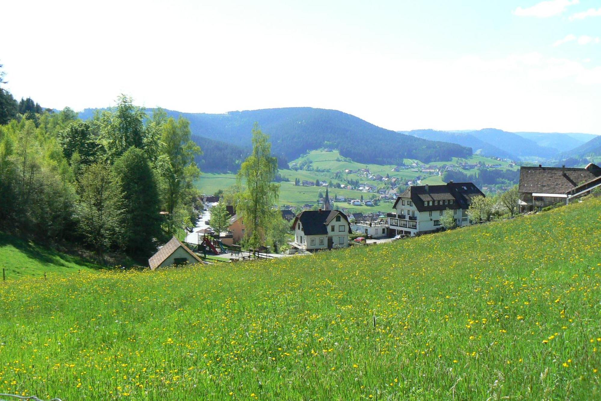 Talblick Baiersbronn