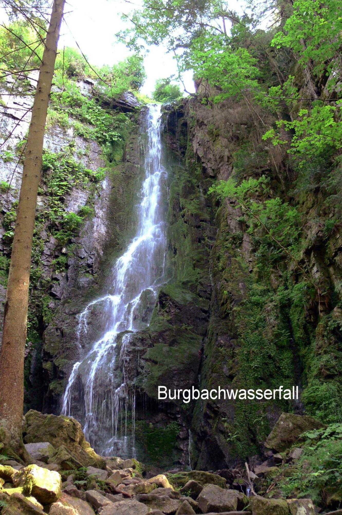 Talblick Baiersbronn