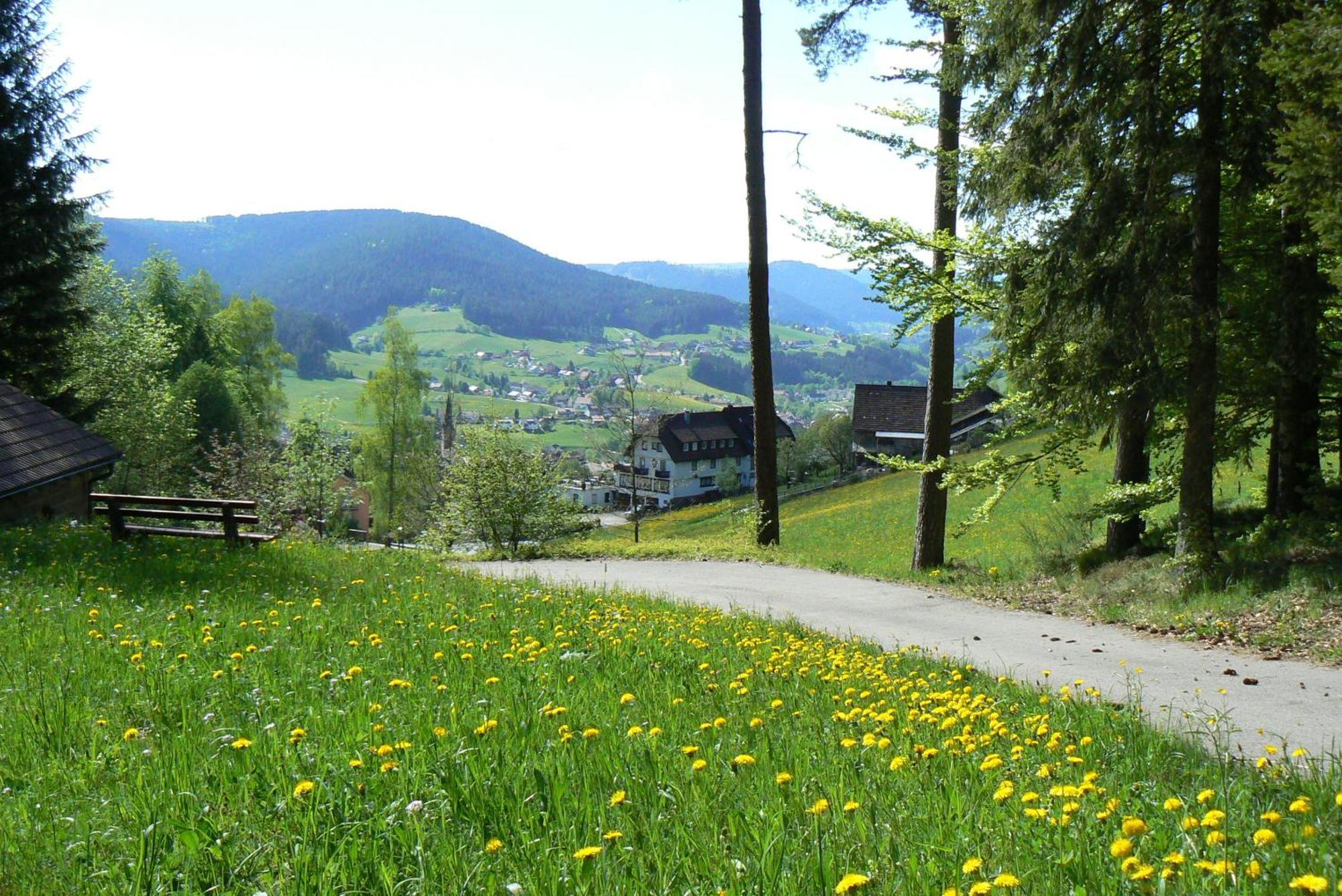 Talblick