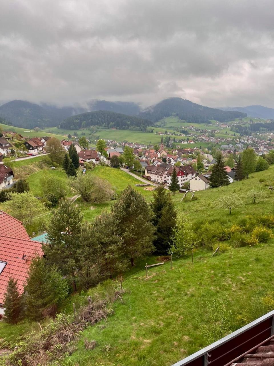 Talblick